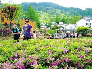火紅的九華山五月旅游市場(chǎng)-九華山-中安在線-旅游