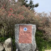 麻城龜峰山游玩-龜峰山門票多少錢/價(jià)格表-團(tuán)購票價(jià)預(yù)定優(yōu)惠-景點(diǎn)地址在哪里/圖片介紹/參觀預(yù)約/旅游游覽順序及注意事項(xiàng)/營業(yè)時(shí)間-【攜程】