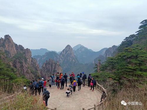 黃山風(fēng)景區(qū)管委會(huì) 清明小長(zhǎng)假第三天景區(qū)游覽秩序井然
