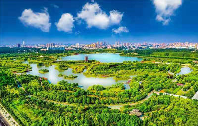 水天一色,群鳥翩飛…這般美景去哪看?全省首批省級濕地公園等你來!