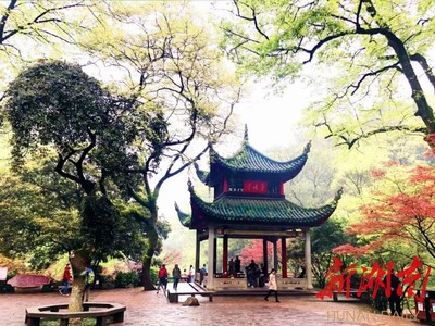 8月25日起,岳麓山景區(qū)東門(mén)路段整修觀光路線調(diào)整